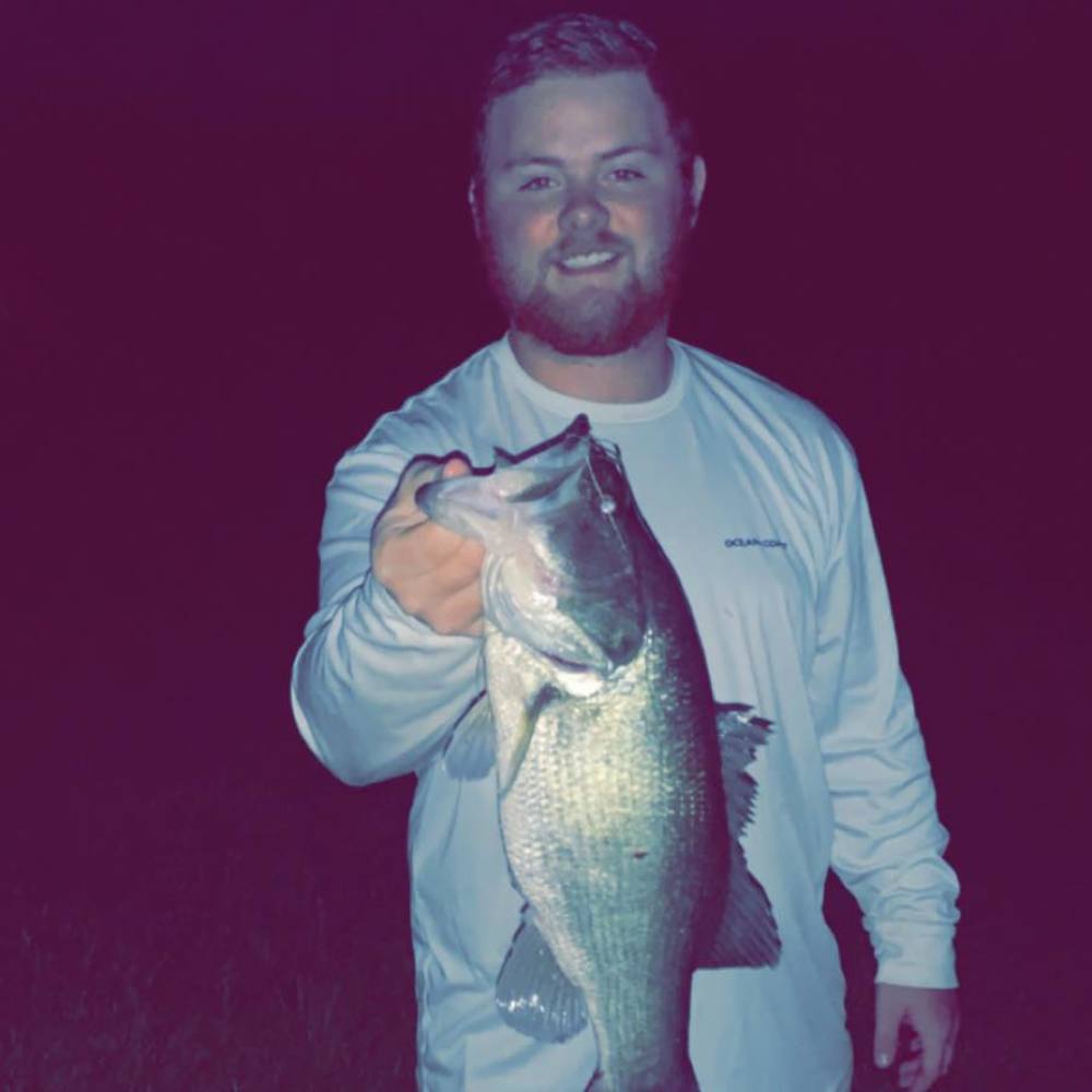 Meet your Posher, Jake